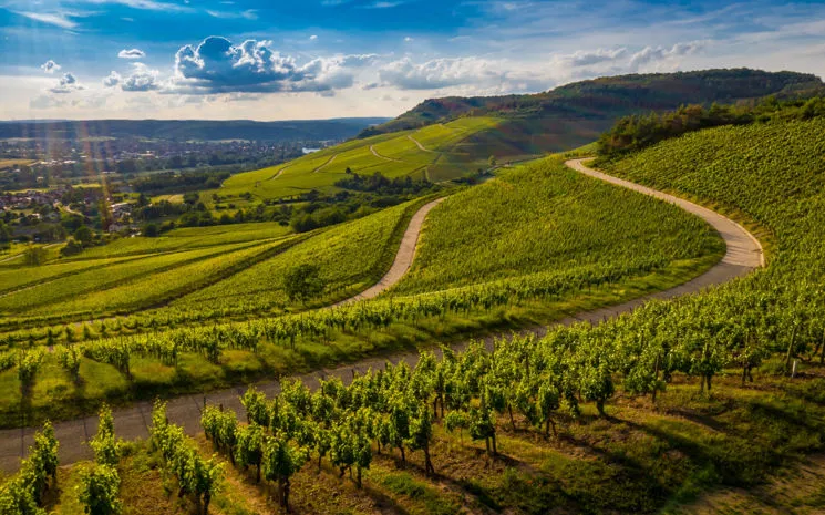 Valpolicella: un viaggio tra vino, colline e tradizione