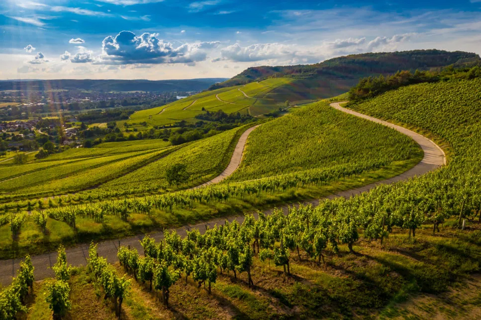 Valpolicella: un viaggio tra vino, colline e tradizione