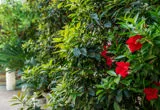 Balcone Suite Adige 3